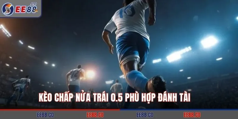 Kèo chấp nửa trái 0.5 phù hợp đánh Tài